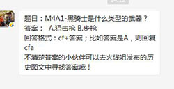 CF手游M4A1-黑骑士是什么类型的武器？